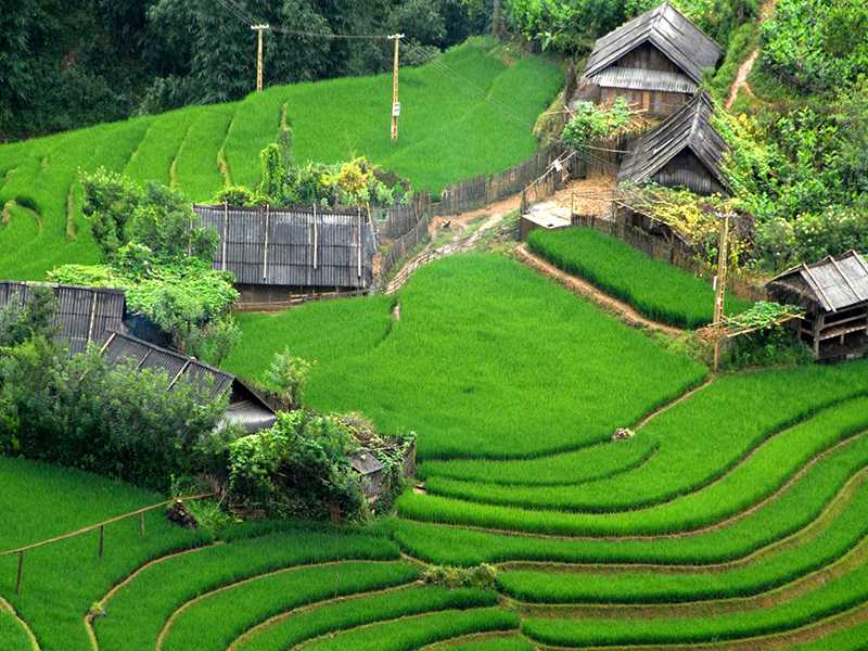 Private Sapa Trekking Tours - 2 Days